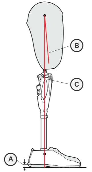 Alignment Diagram