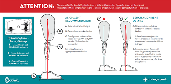 Knee Alignment Card 1